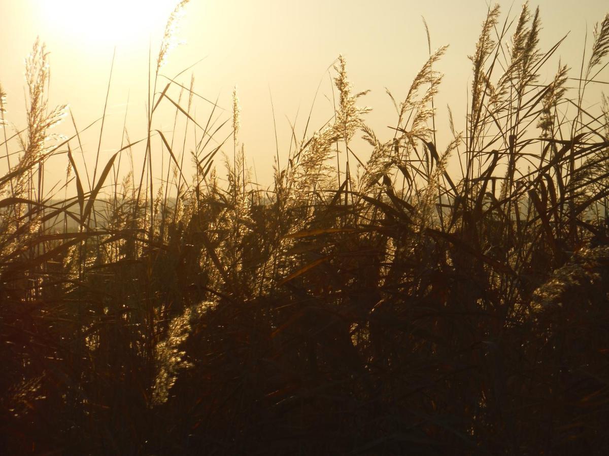 Pfahlbau Sunset I Toplage Elektroboot Inklusive Rust Dış mekan fotoğraf