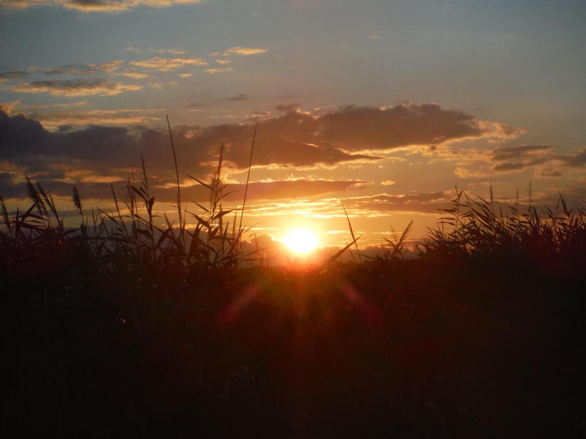 Pfahlbau Sunset I Toplage Elektroboot Inklusive Rust Dış mekan fotoğraf